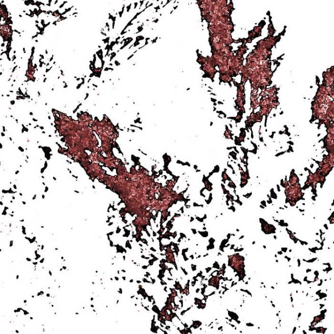 “Skogens Hjärta” –&nbsp;Hypothermia