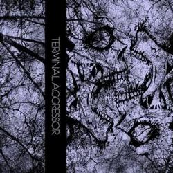 “Terminal Aggressor” -Dragged Into&nbsp;Sunlight